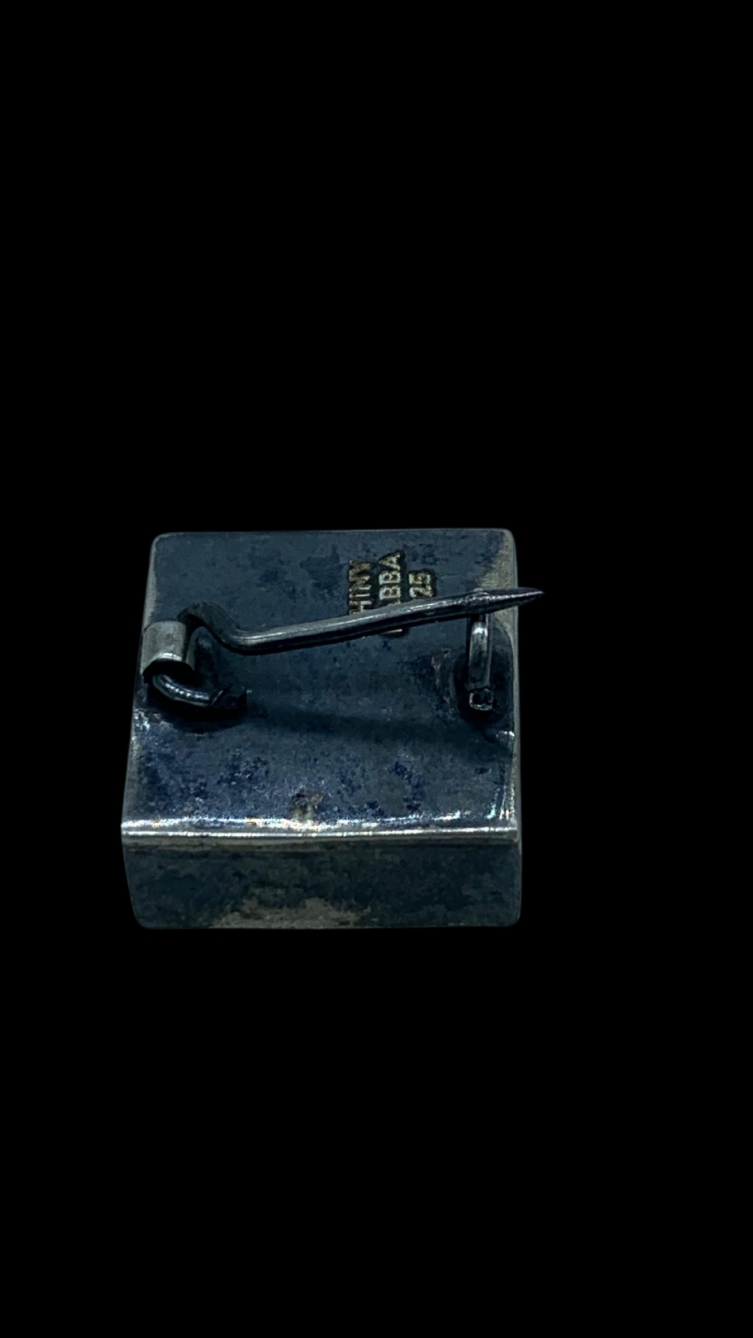 Stepwell Pin