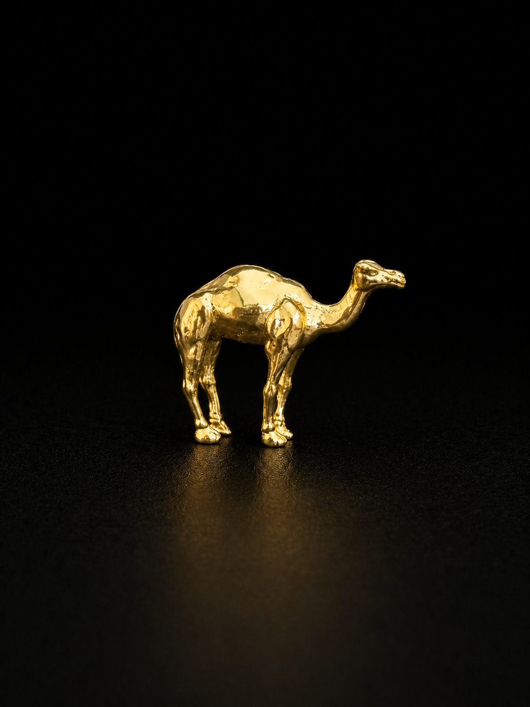 Desert Camel Brooch