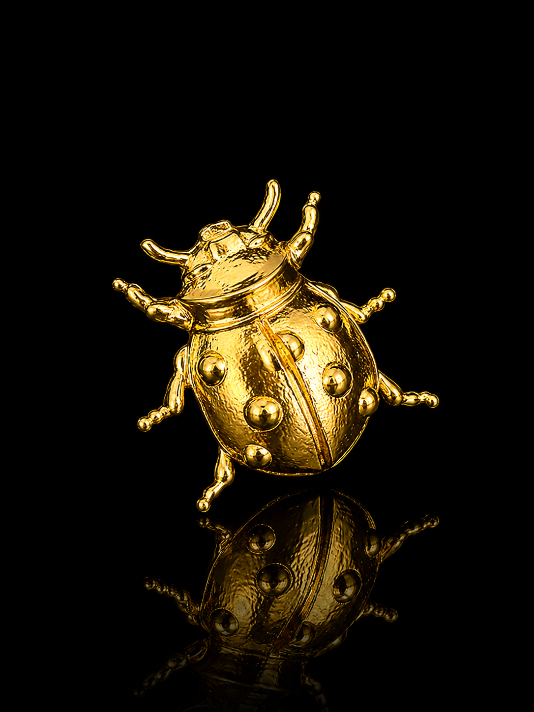 Golden Ladybug Brooch