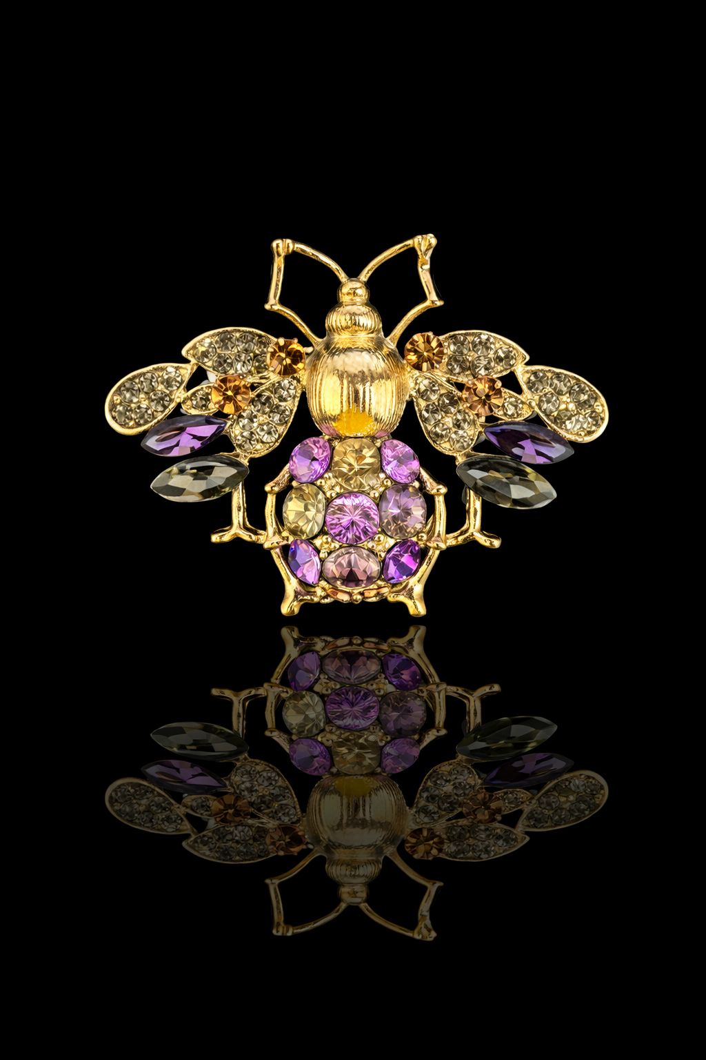 Regal Jewel Beetle Brooch
