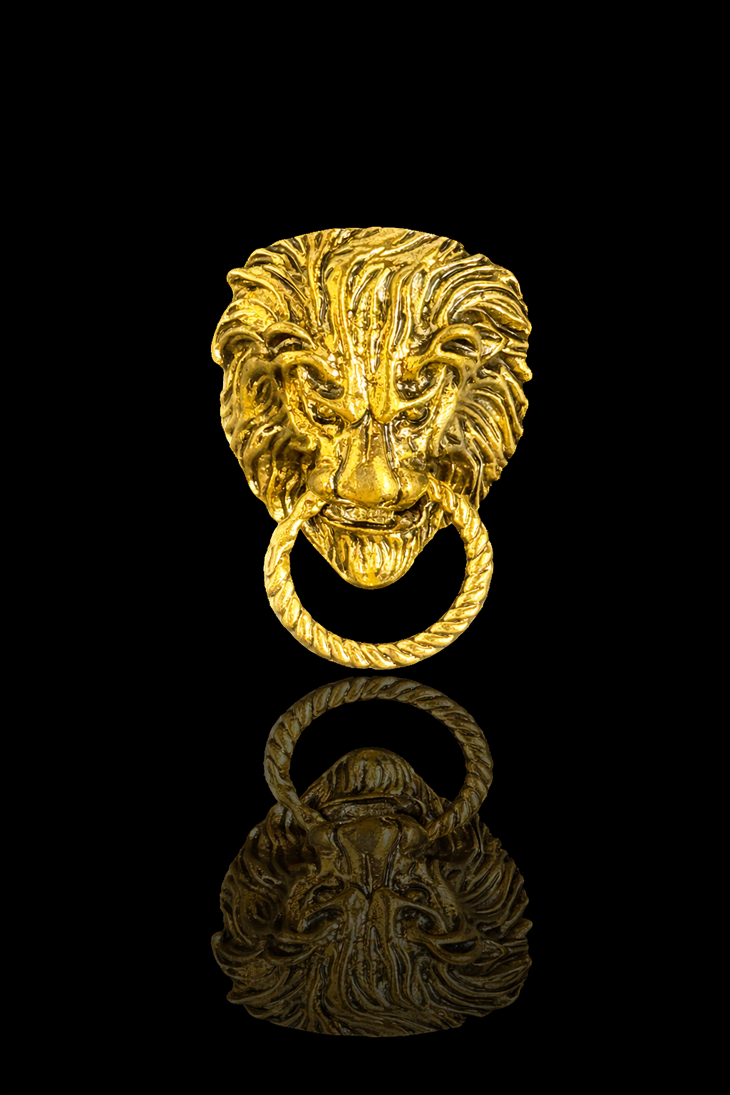 Regal Lion Door-Knocker Brooch