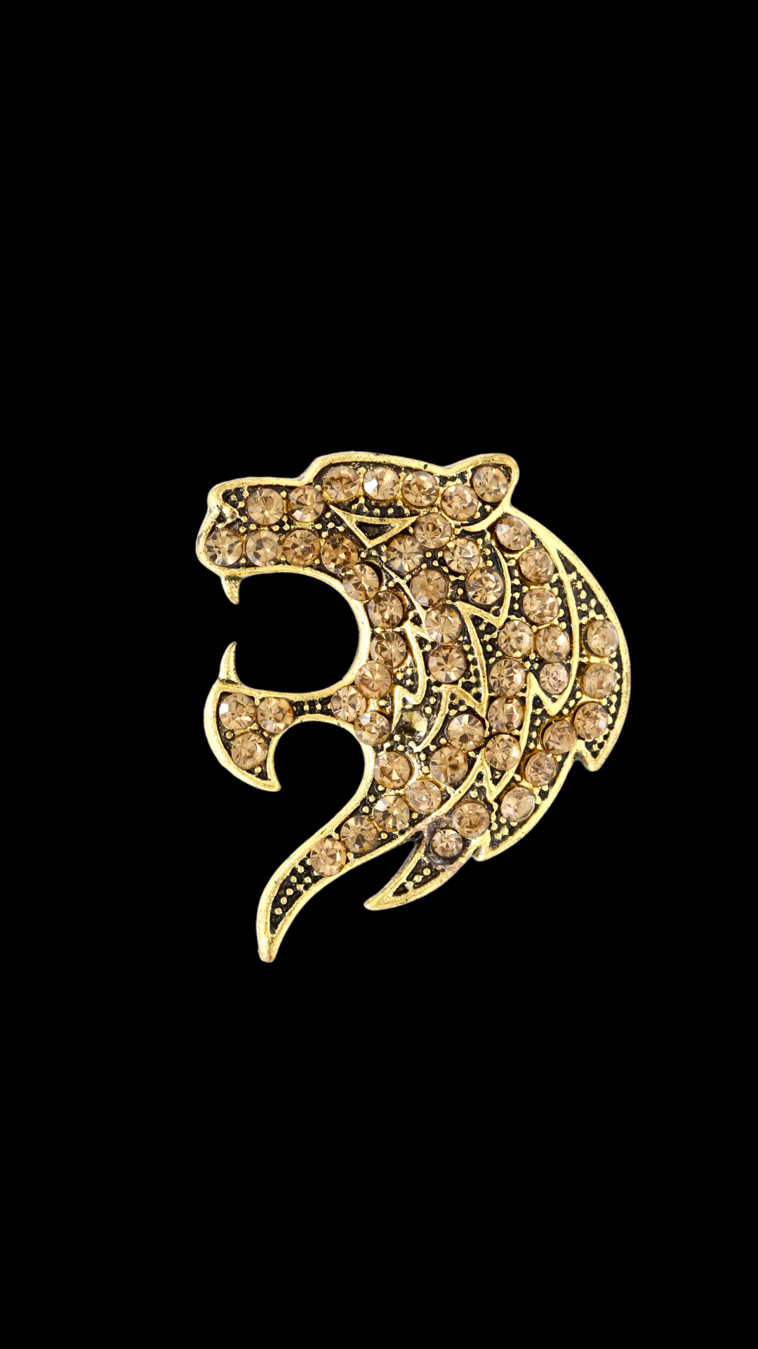 Singhrekha Brooch