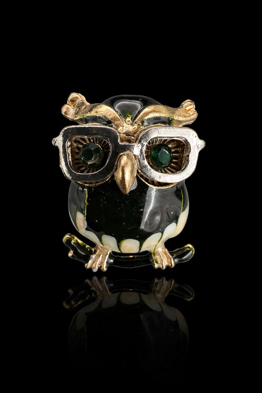 Wise Gaze Owl Brooch