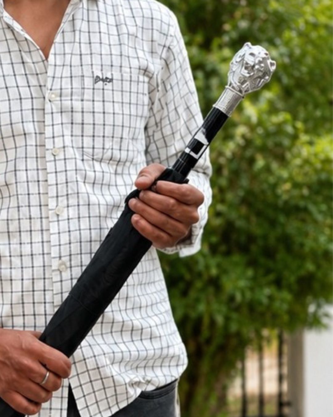 Regal Lion Handle Walking Stick Umbrella
