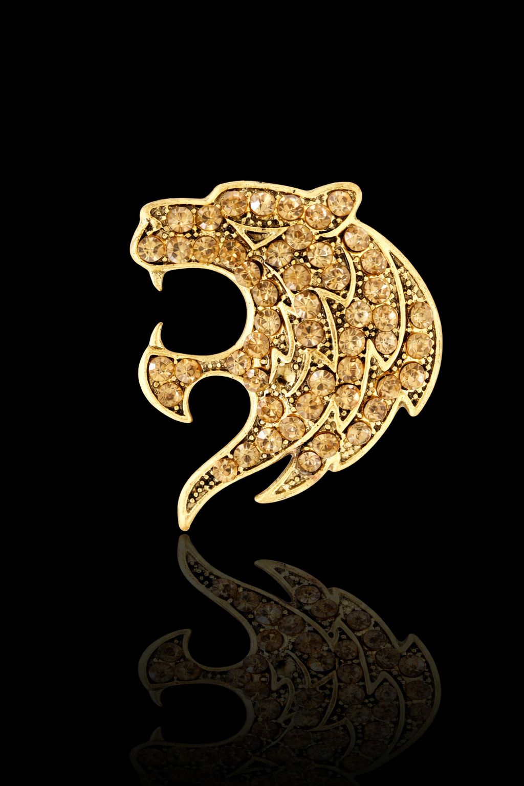 Singhrekha Brooch