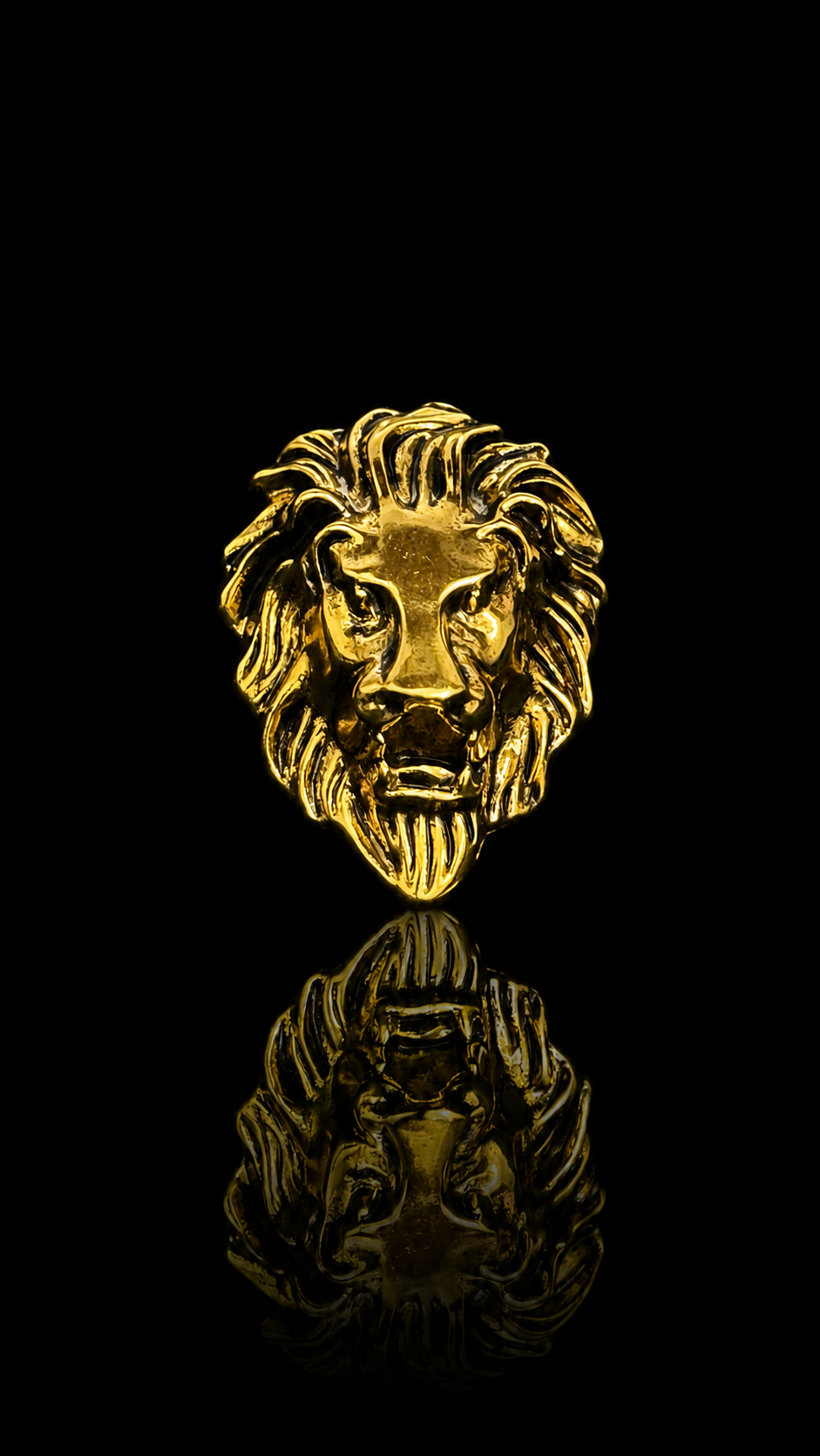 Regal Lion Crest Brooch
