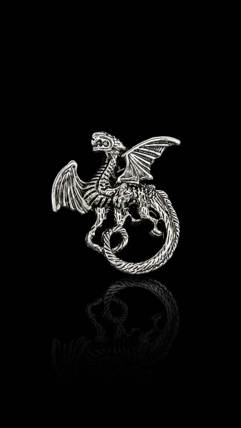 Dragon Brooch