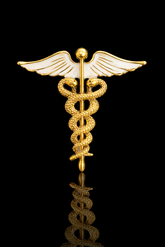 Caduceus Emblem Brooch