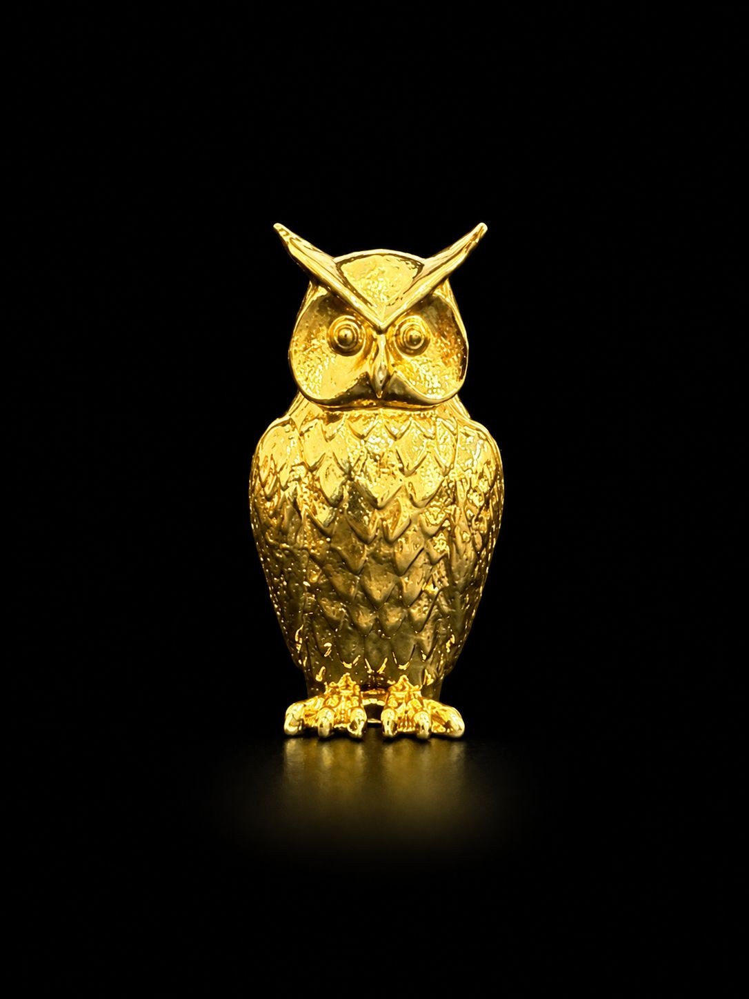 Golden Wisdom Owl Lapel Pin