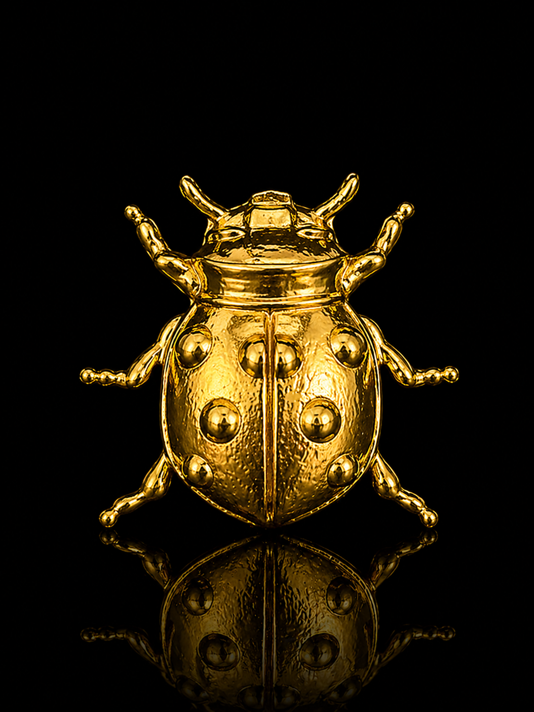 Golden Ladybug Brooch
